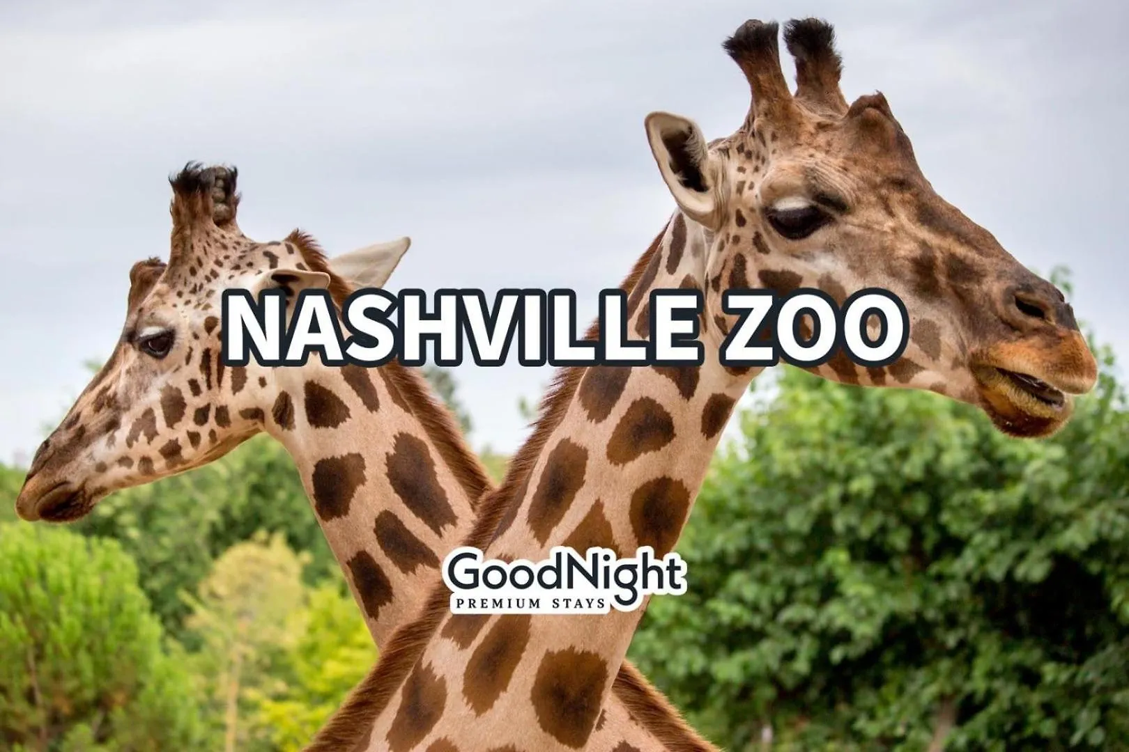 South Wing - 2 Units - 4 Bedrooms - Mins To Zoo Nashville 0*,  United States